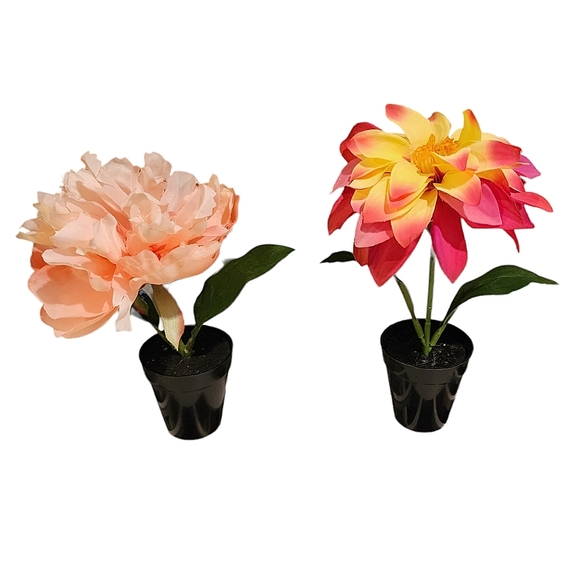 Set of 2 Florals - Picture 1 of 1